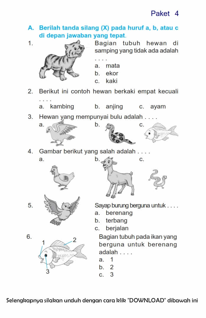 Menguasai Bahasa Indonesia Kelas 3 SD Semester 2 Panduan Lengkap Menguasai Bahasa Indonesia Kelas 3 SD Semester 2 Panduan Lengkap