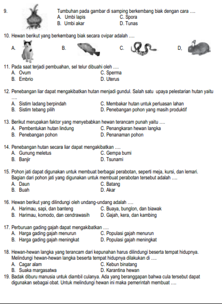 3 Rahasia Sukses Hadapi Soal IPA Kelas 6 Semester 2 yang Jarang Diketahui Orang Tua