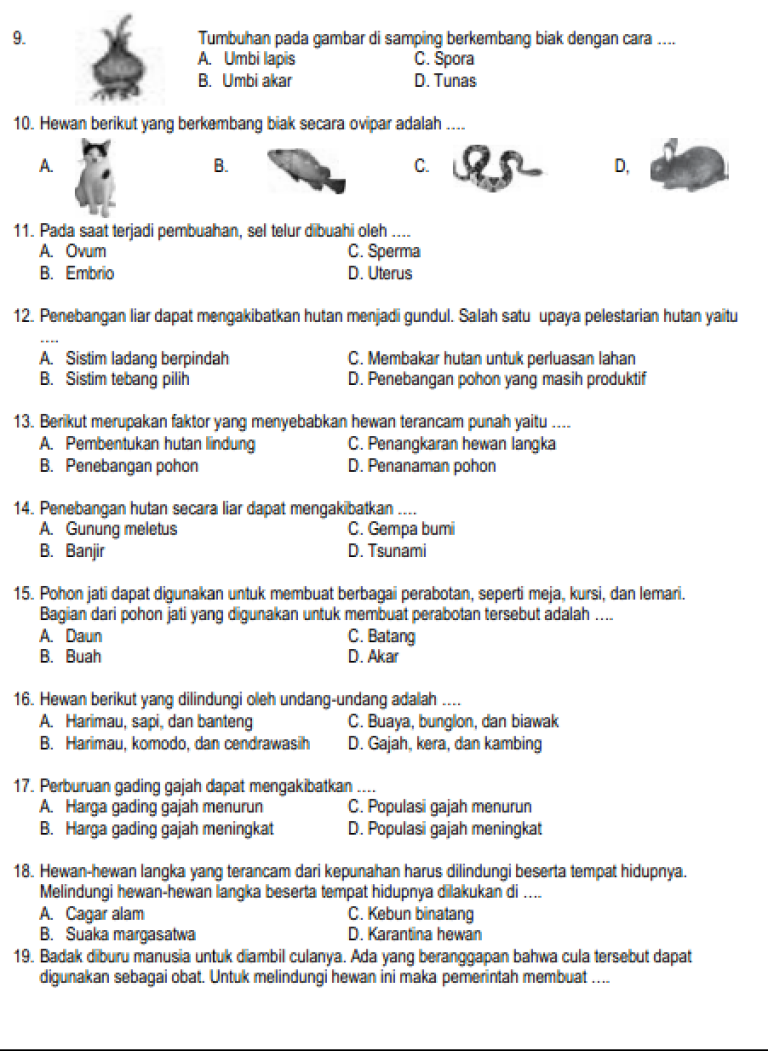 7 Contoh Kisi Soal IPA Kelas 6 KD 3.1 yang Wajib Dikuasai Sebelum Ujian 2026 7 Contoh Kisi Soal IPA Kelas 6 KD 3.1 yang Wajib Dikuasai Sebelum Ujian 2026