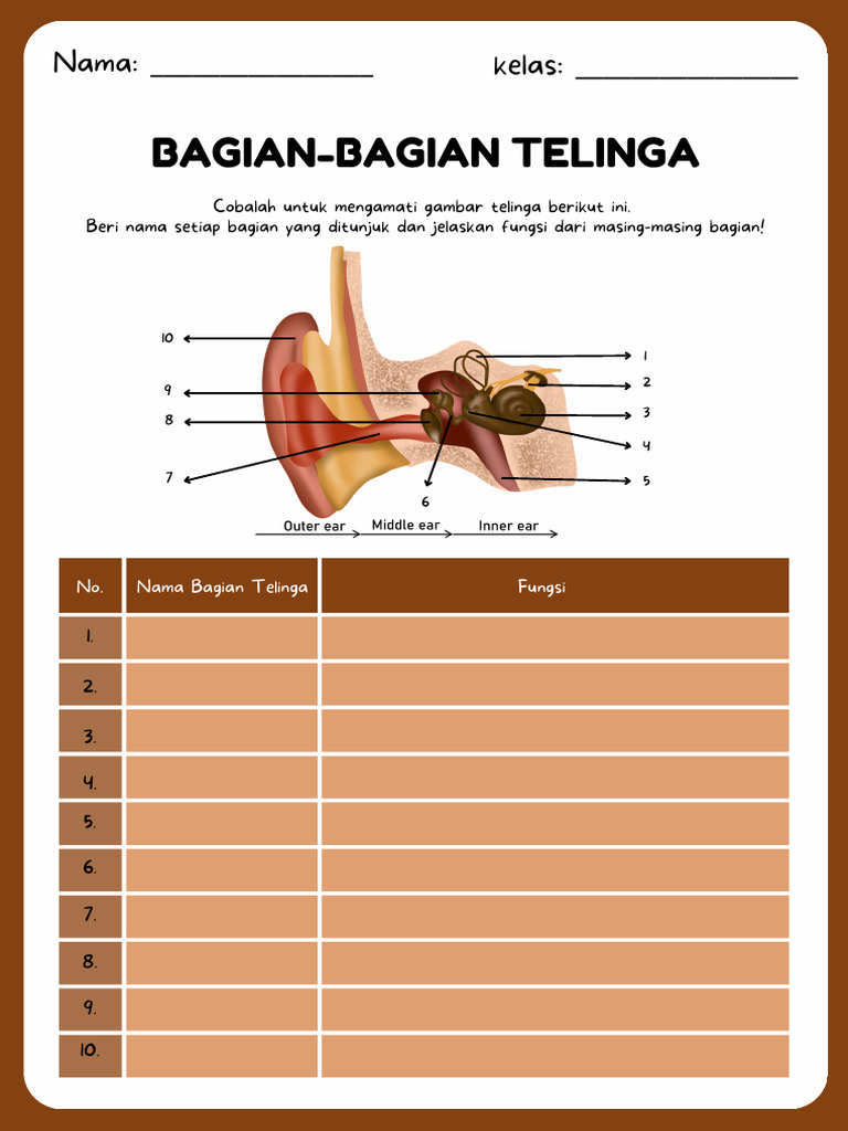 Jangan Bingung Lagi, Ini Bank Soal IPA Kelas 4 Tentang Telinga dan Pembahasan Lengkapnya Jangan Bingung Lagi, Ini Bank Soal IPA Kelas 4 Tentang Telinga dan Pembahasan Lengkapnya
